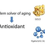 GH+ GOLD HYALURON SERUM